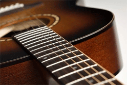 Walts Guitars and Pro Audio